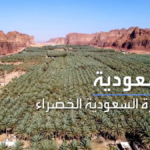 فيديو مبادرة السعودية الخضراء: كيف تتحول الصحراء إلى واحات غناء في أكبر مشروع بيئي عالمي؟