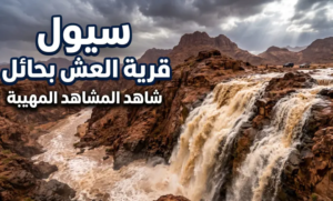 شاهد بالفيديو: سيول عارمة تجتاح قرية “حي العش” بحائل.. استنفار وبطولات وسط الطبيعة الغاضبة